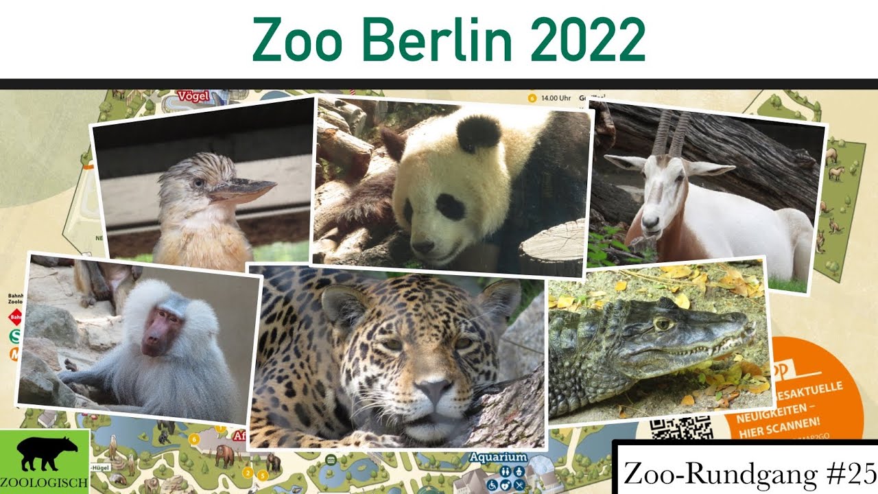 Zoo Berlin 2022 | Zoo-Rundgang #25