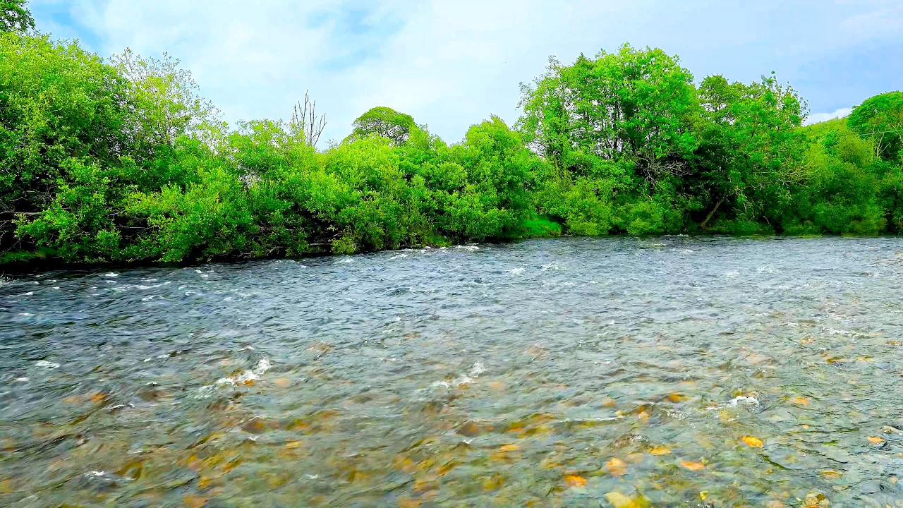 The sound of a river flowing. Water sounds 10 hours. White noise for sleep, relaxation & meditation.