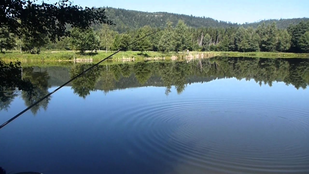 Pêche au coup en étang