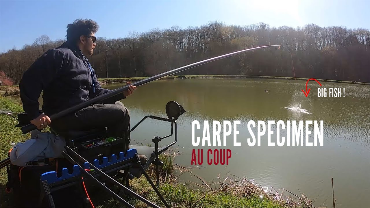 SPECIMEN CARP FISHING - Pêche de de la Carpe SPECIMEN au coup !