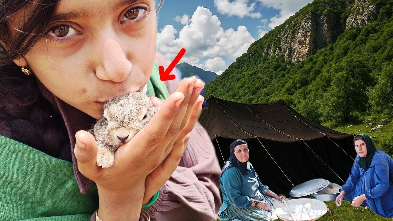 The children's story of Nika and the baby rabbit; a story of life in the mountains and the tribe🐇