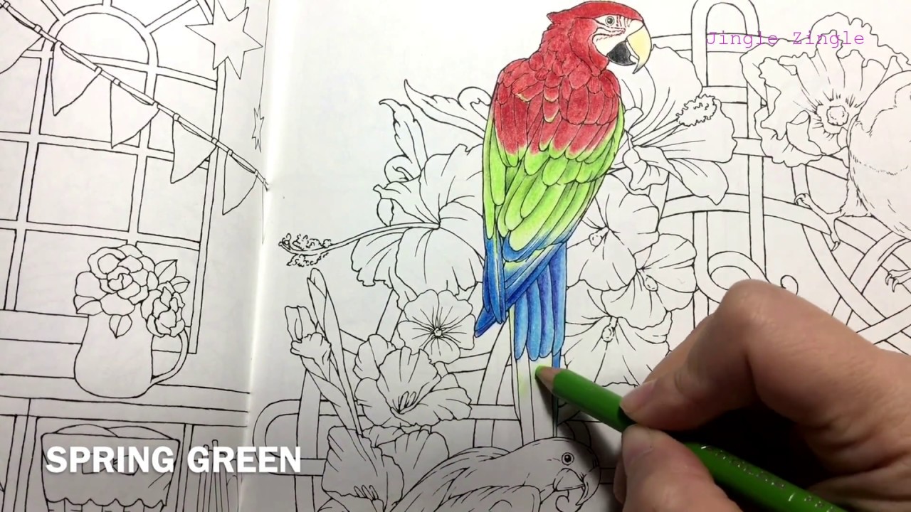 The Parrot Quintet Part 1| Menuet de Boheur Coloring book 幸せのメヌエット