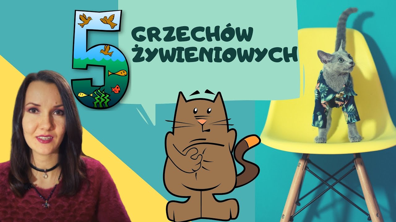 5 BŁĘDÓW W ŻYWIENIU kotów i psów