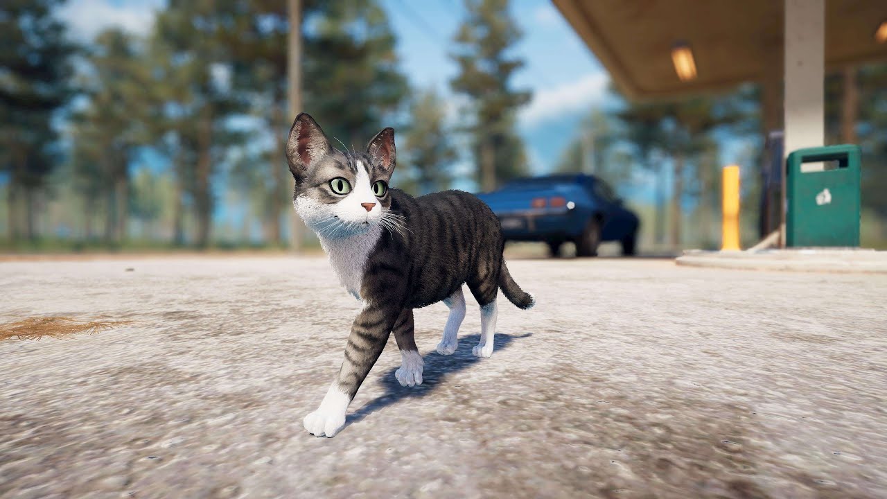 Milo the Cat at Rural Gas Station