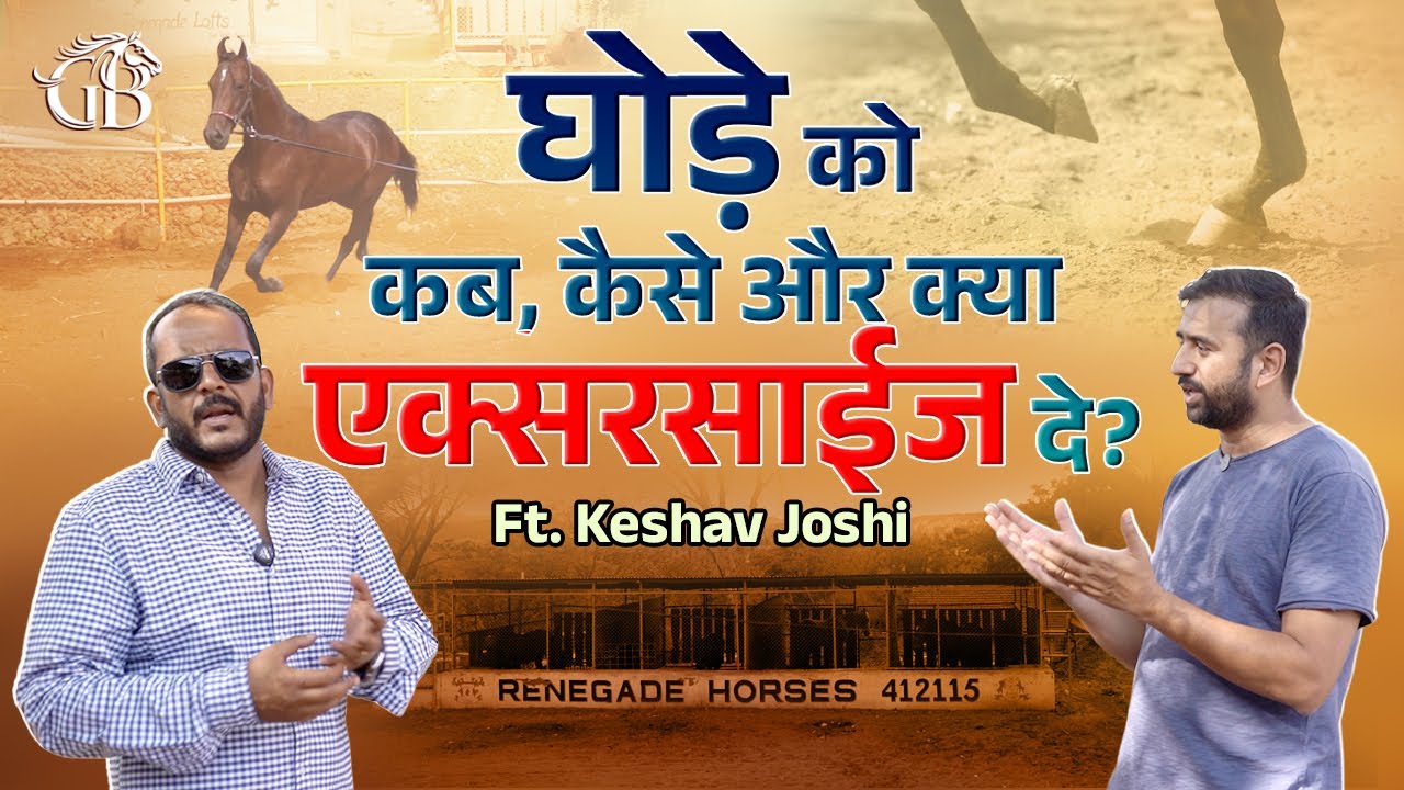 घोड़े को कब, कैसे और क्या एक्सरसाईज दे?#horse #excercise #ghodebaaz #horseriding #viralvideo #shorts