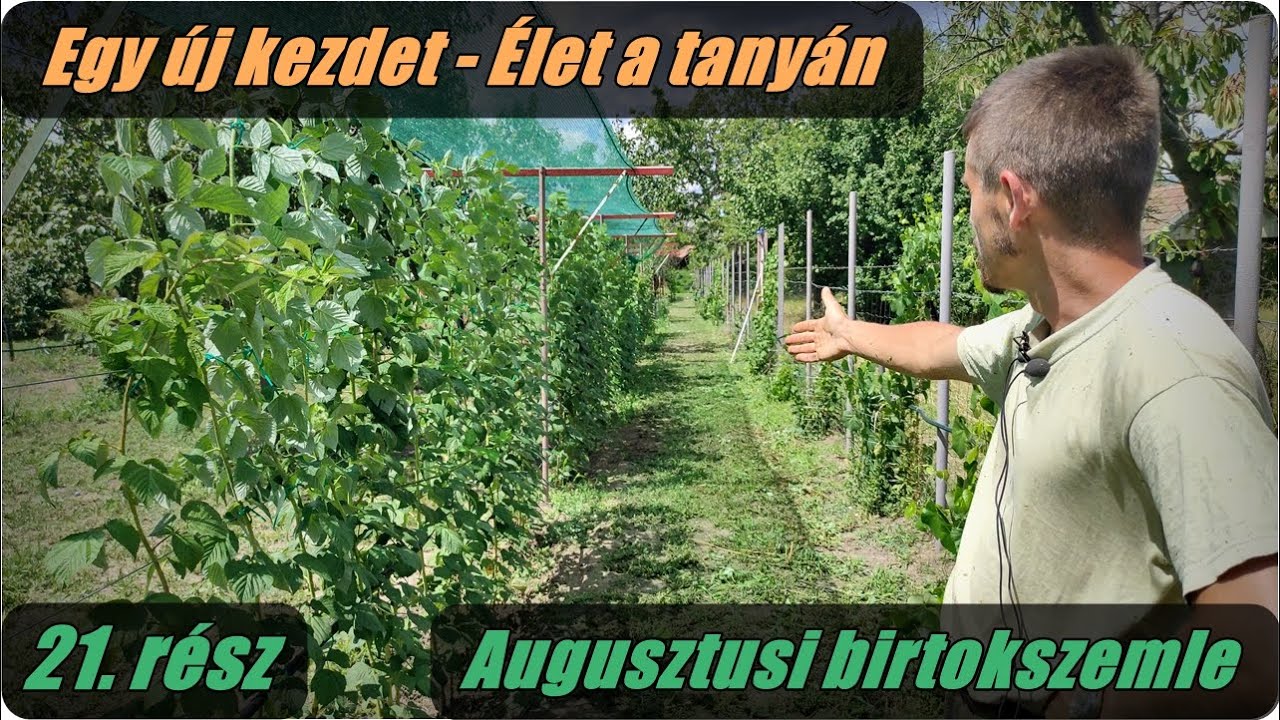 Egy új kezdet - Élet a tanyán - Augusztusi birtok szemle |21.rész|