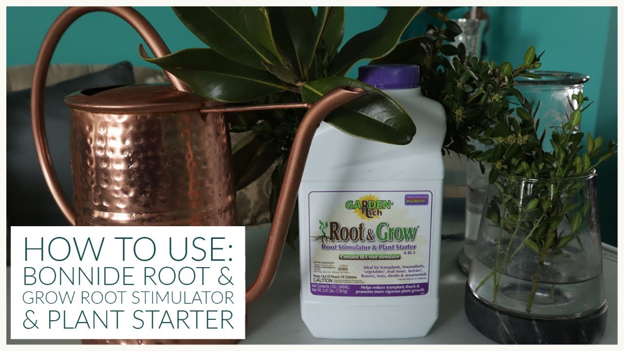 HOW TO use Bonide Garden Rich Root & Grow Stimulator & Plant Starter| Jhuly's Aquatics & Gardening