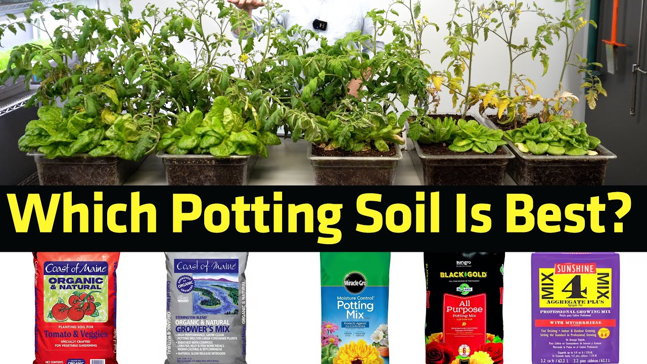 Which is The Best Potting Soil? | Coast of Maine, Miracle-Gro, Black Gold, Sunshine Mix 4