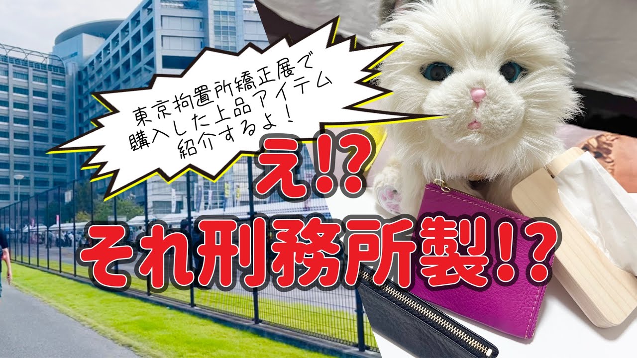 【ロボットペット】フラフちゃんと刑務所製品紹介。　パスタ、ケーキ、天むすも食べたよ。