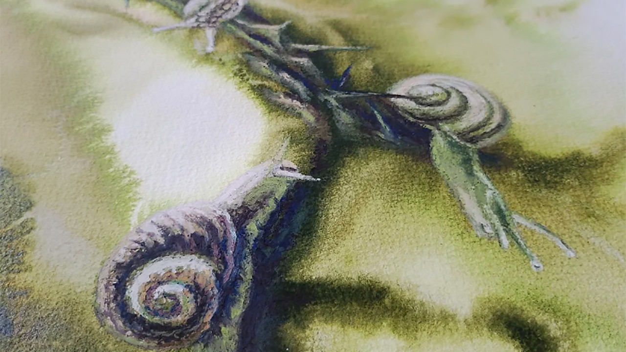 Oil Pastel and Watercolor Process | In the Garden of Thorns (2026)
