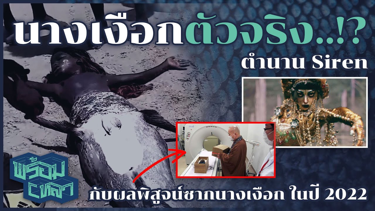 MERMAID : นางเงือก และ ตำนานไซเรน...กับบันทึกการมีตัวตนหลายพันปี
