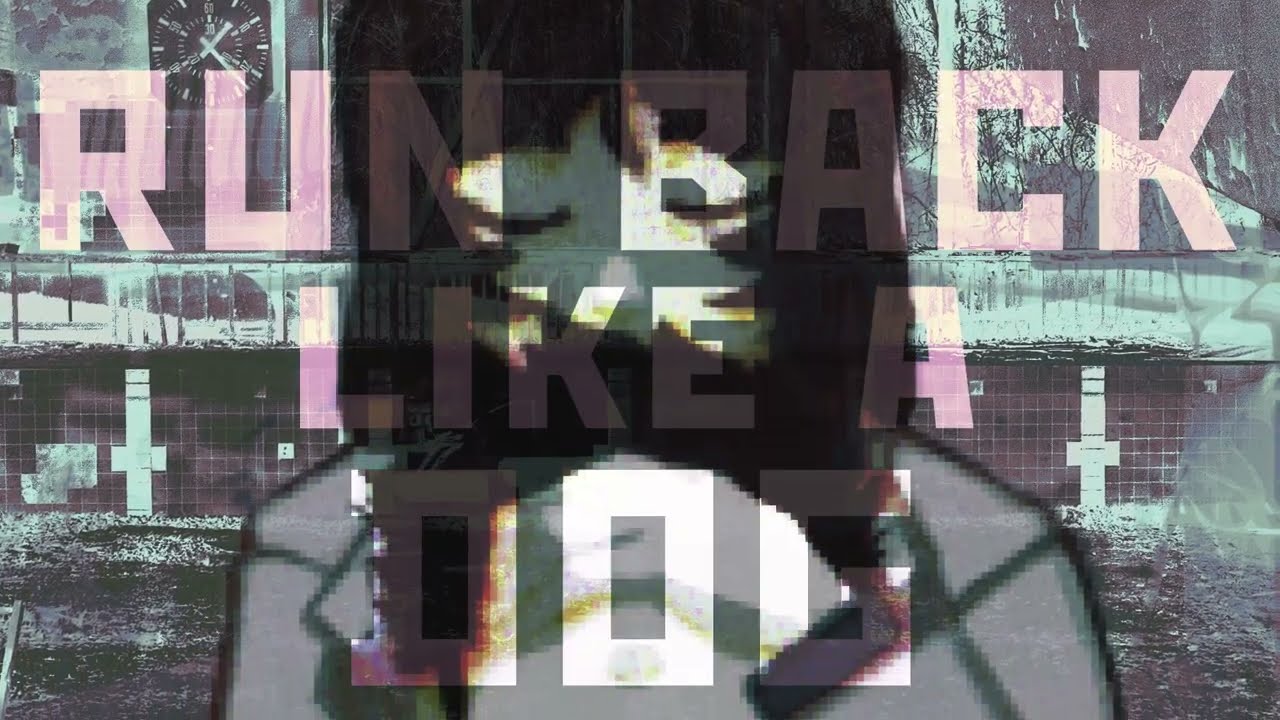 【Solaria】like a dog but it's playing in an abandoned building in the zone 【Ferry Cover】