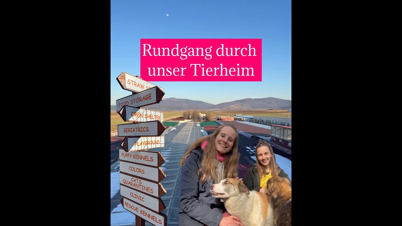 Heute nehmen wir dich mit ins Tierheim 🐾