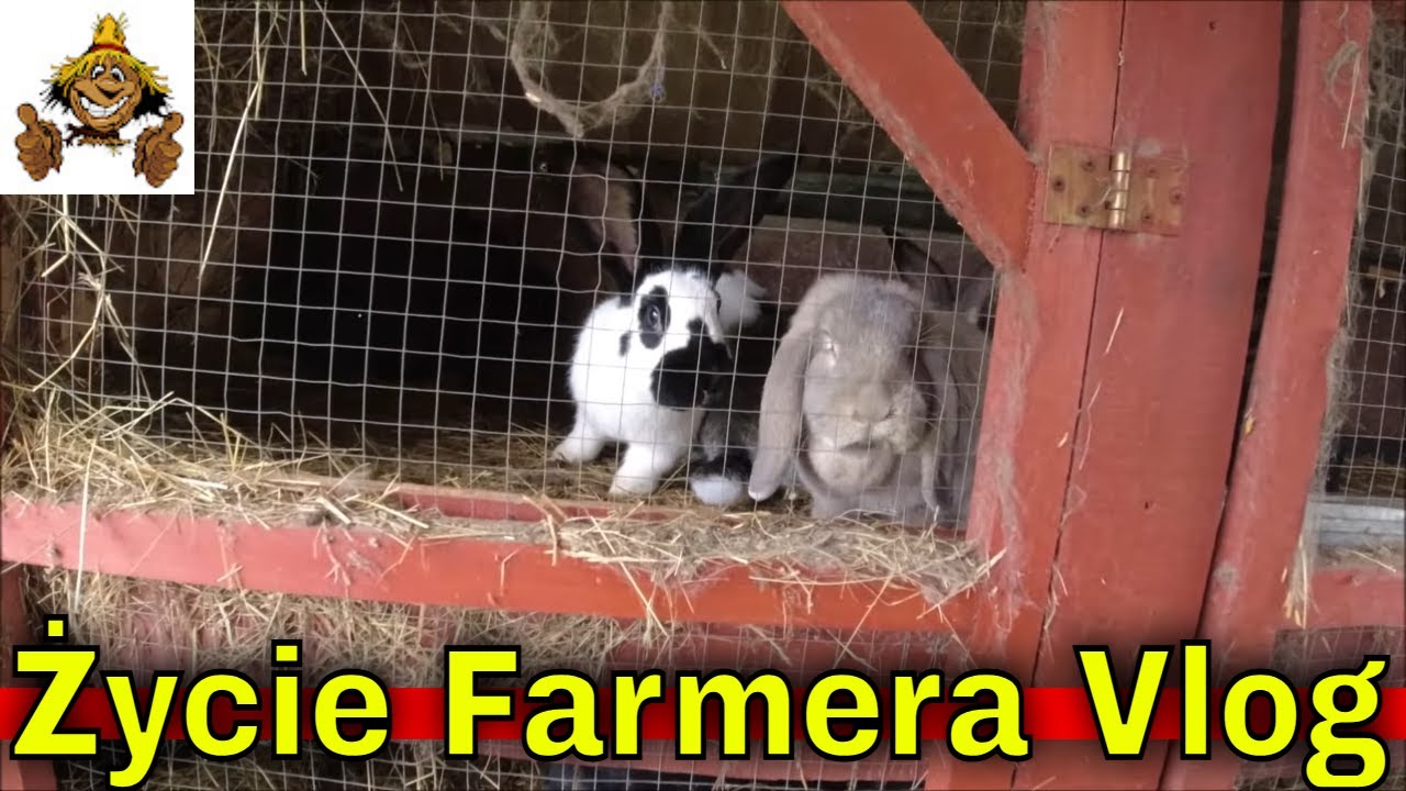Prace na Farmie w połowie listopada..