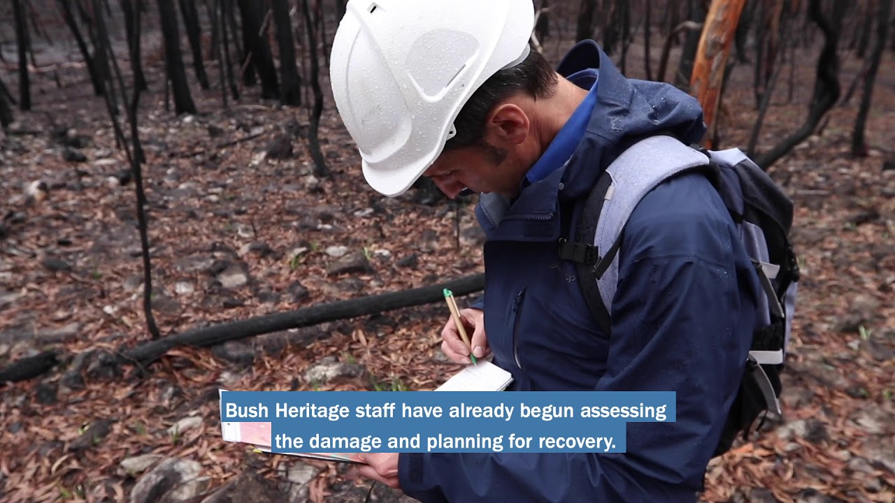 Protecting what's left after fires at Burrin Burrin Reserve (NSW)