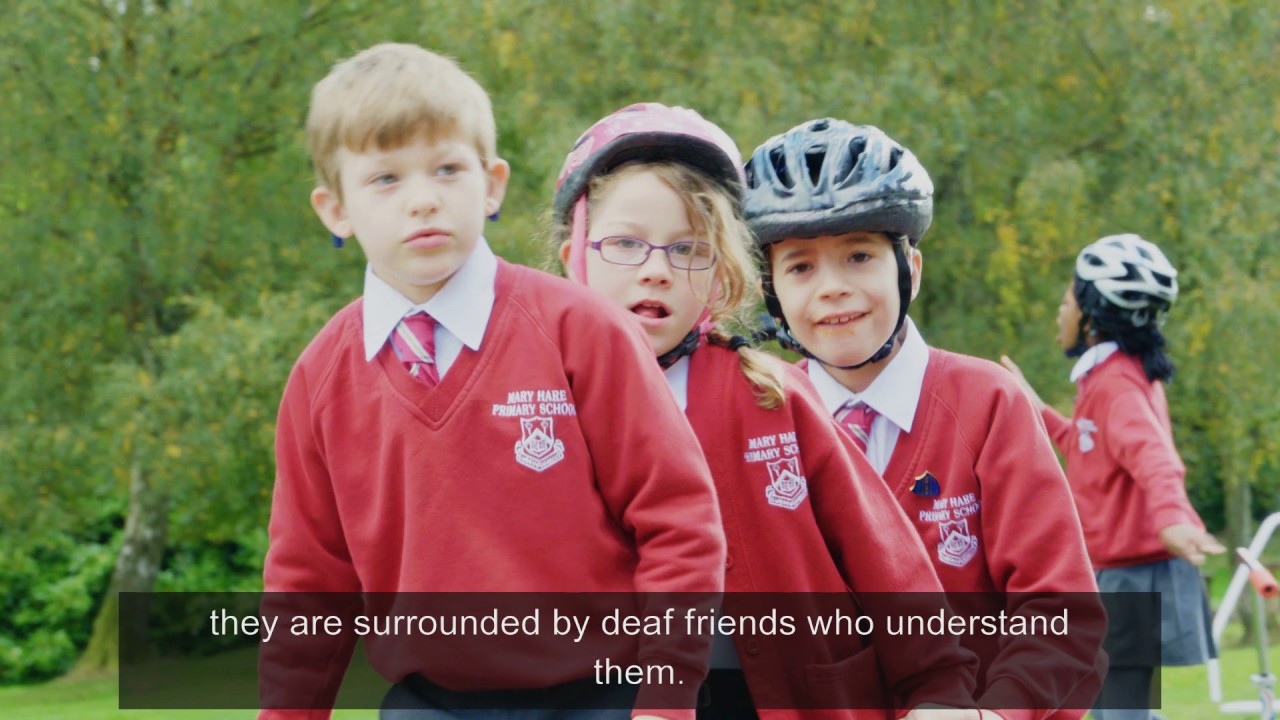 Mary Hare Primary School 2016