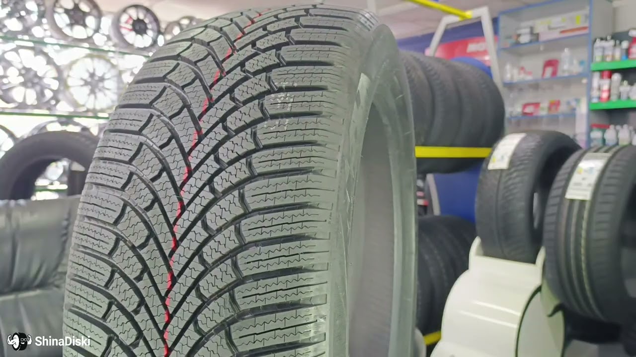 Bridgestone Blizzak 6