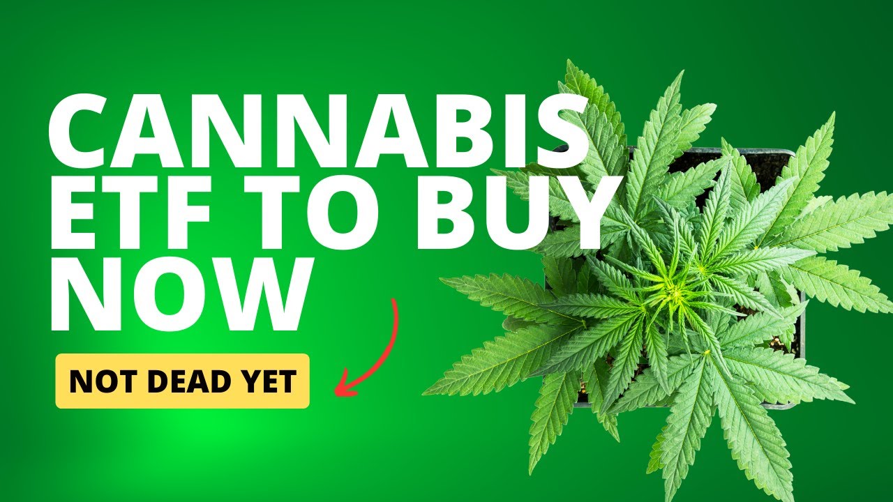 One Cannabis ETF To Buy Now