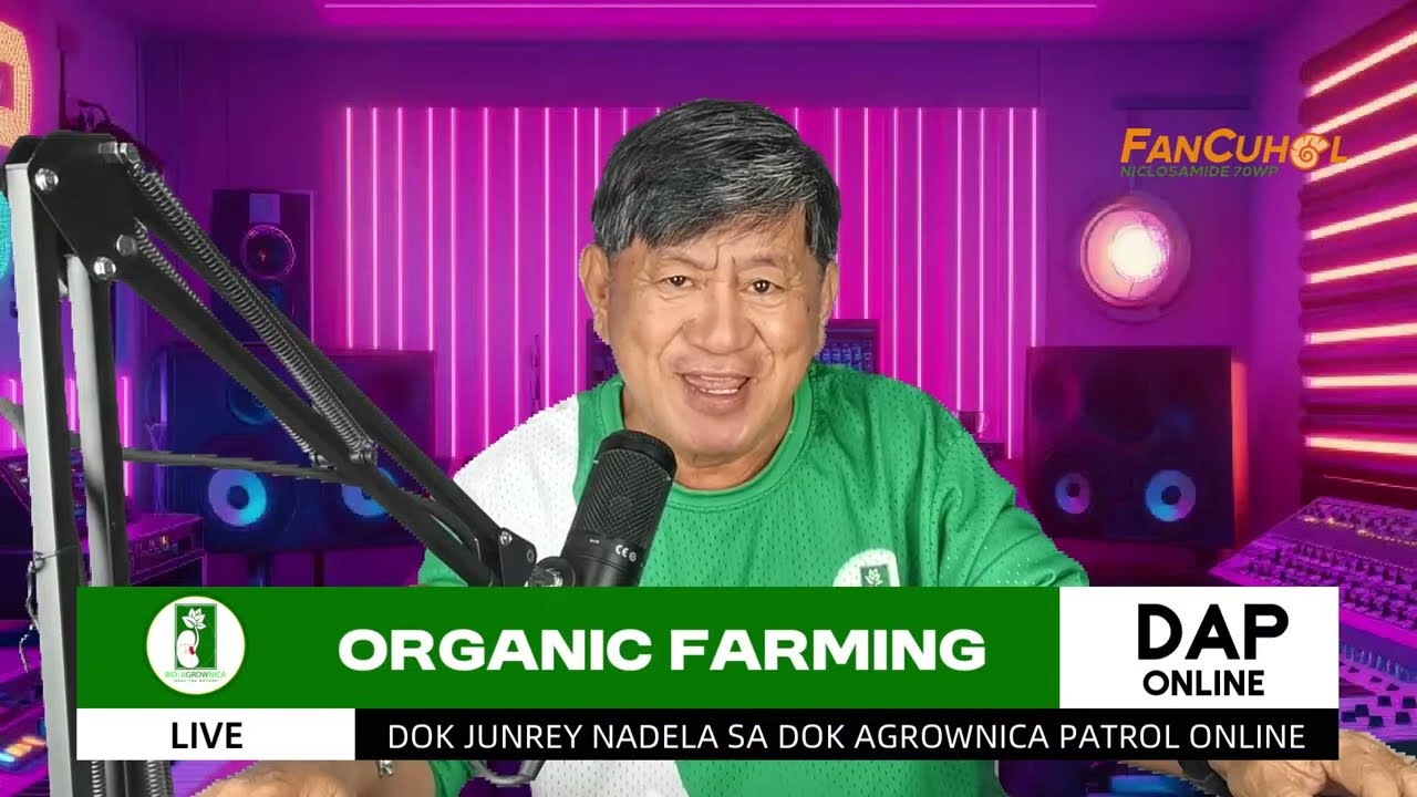 DOK AGROWNICA PATROL ONLINE