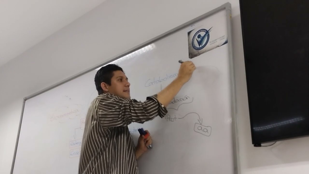 TUTORÍA BIOENERGÉTICA parte 1