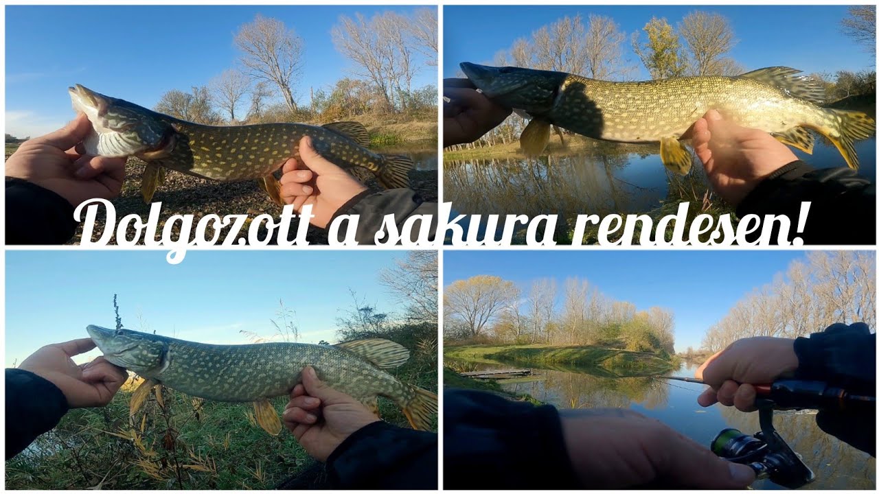 Brutál jó UL csuka pergetés !