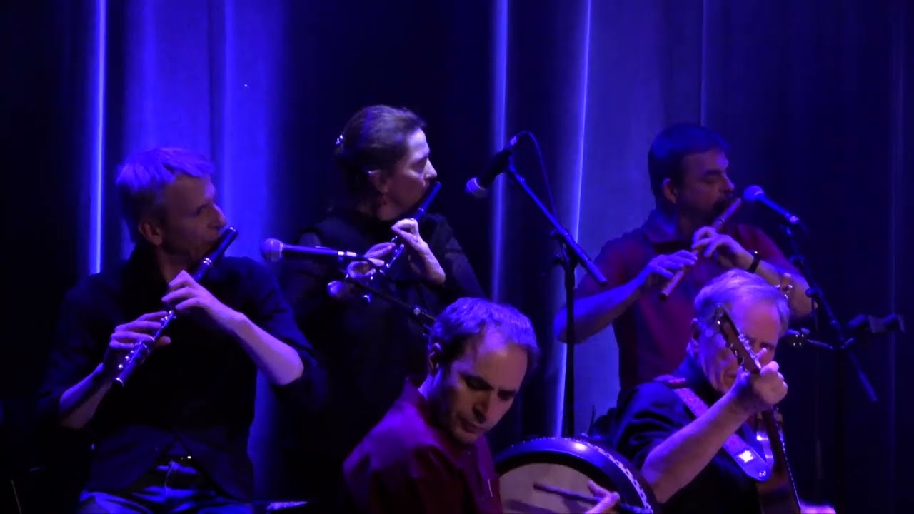 OMI, Seamus Cooley's / Pull The Knife And Stick It Again / Diplodocus (jigs)