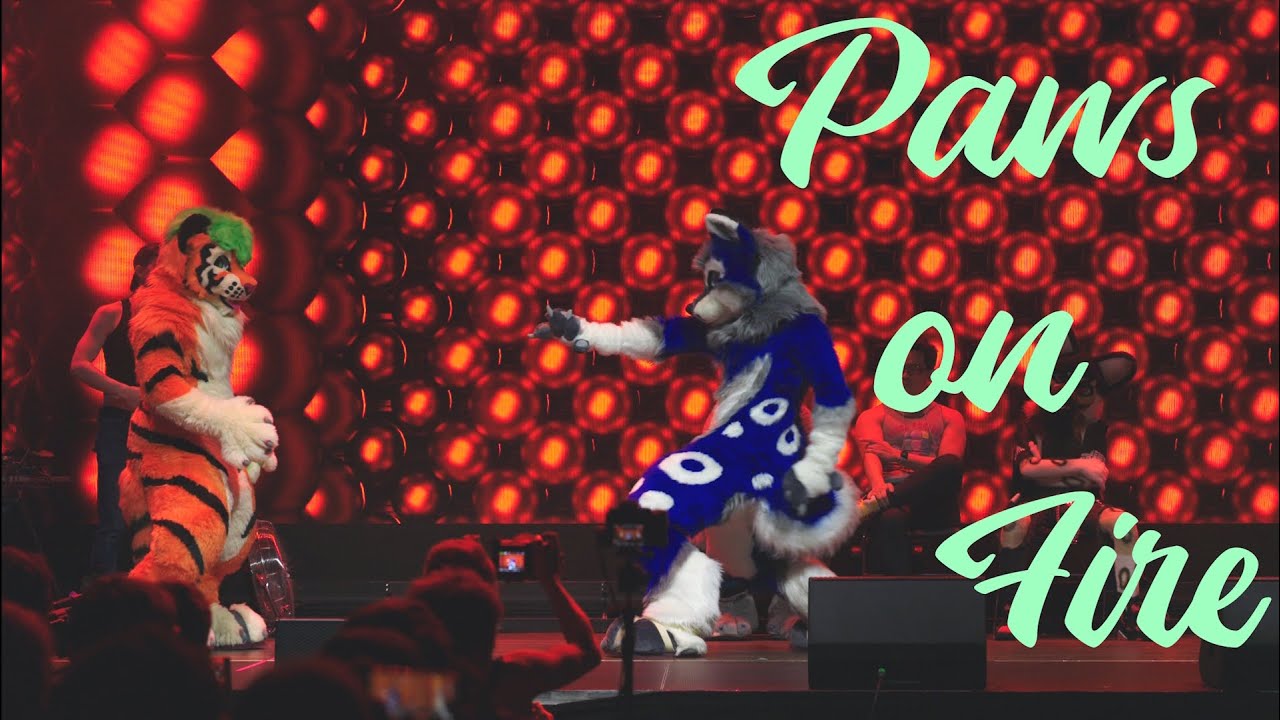 NFC25 - Paws on Air