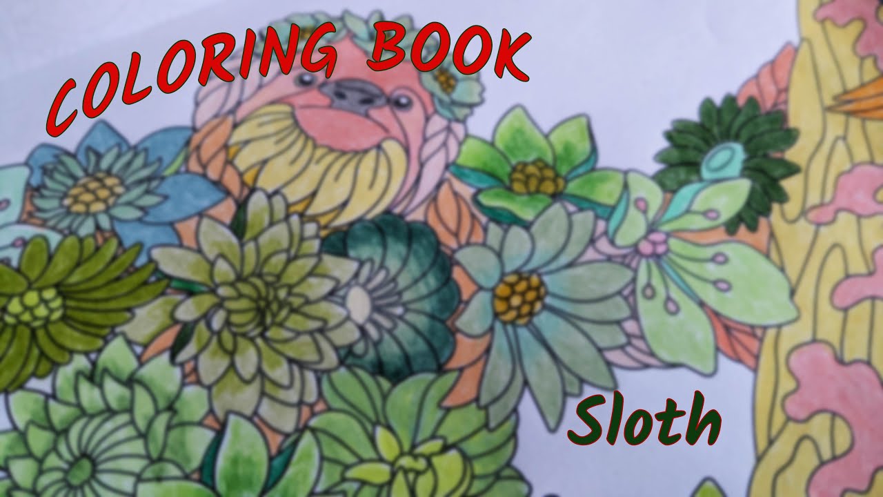 Let's Color the Sloth! 🌿 Jungle Animals Coloring Page