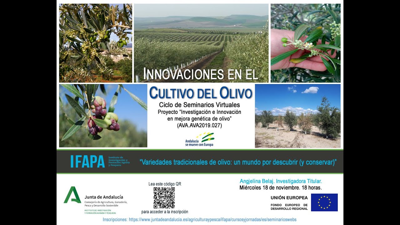 Variedades tradicionales de olivo: un mundo por descubrir (y conservar) - Webinar 18noviembre2020