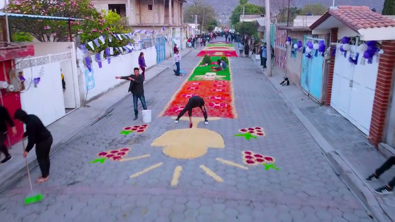SANTA ANA NECOXTLA  FERIA 2023