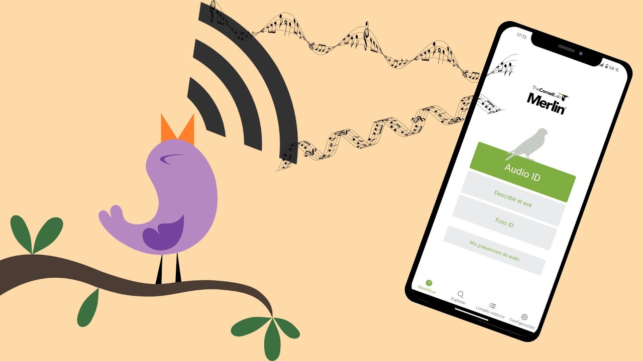 Merlin APP. IDENTIFICA aves por el canto o con una foto. GRATIS
