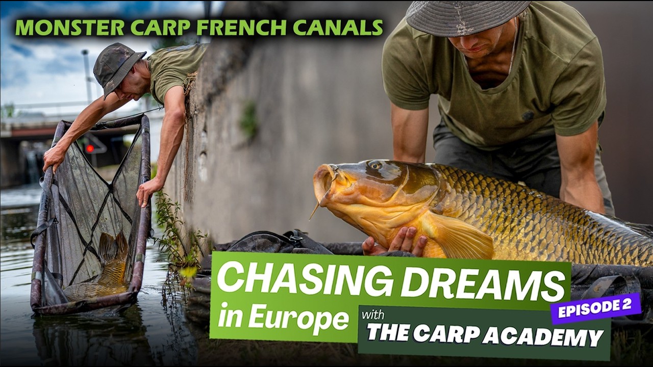 CHASING MONSTER CARP FRENCH CANALS (4K - ENGLISH)