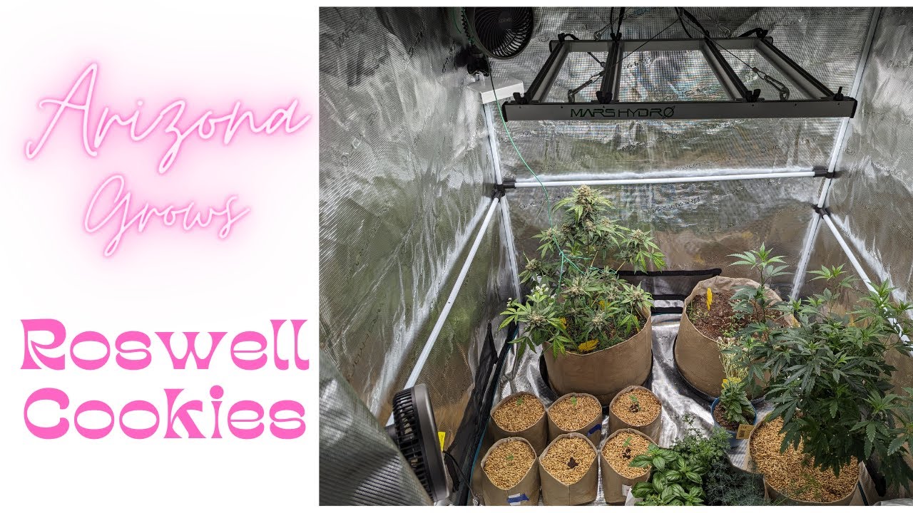 Breaking Down The Grow Room, And The Veg Tent Update.