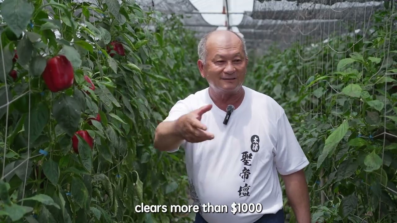 Homeostatic Systemins on Vegetable Crops: Bell Pepper - Highlights