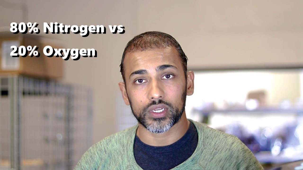 Continuous vs Pulse Flow, some of the differences | Portable Oxygen