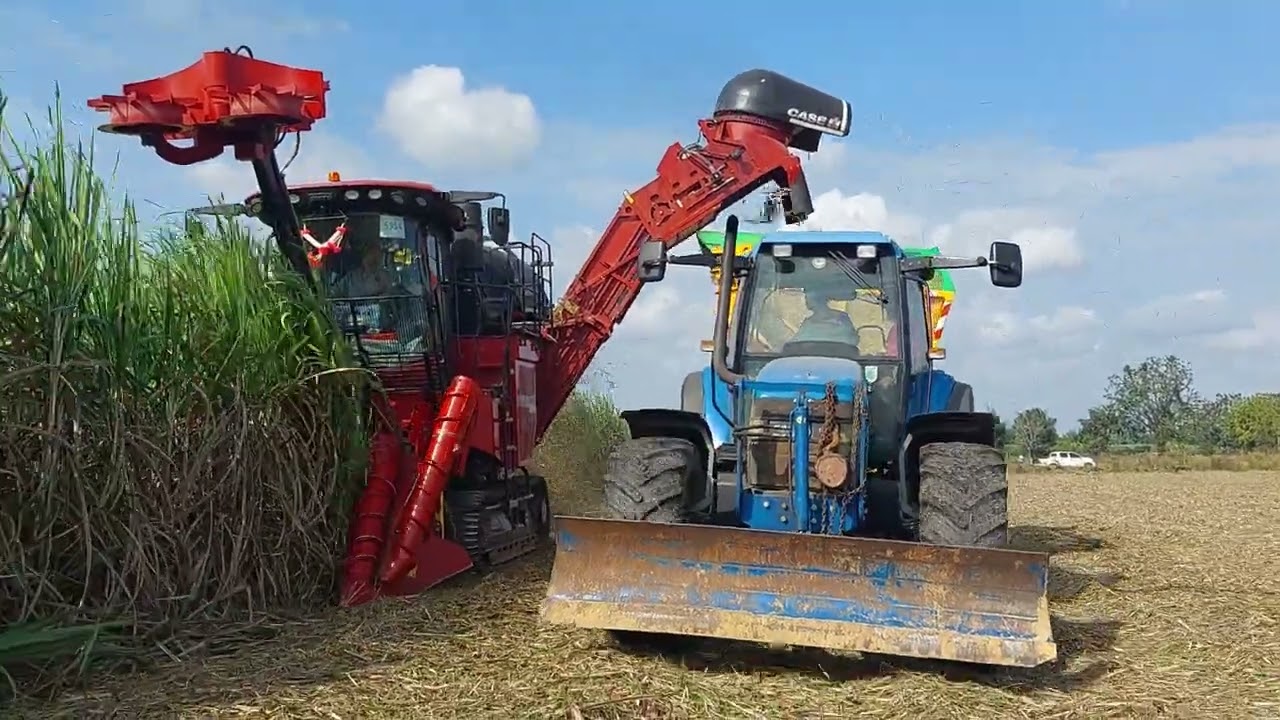 ใจถึง รถตัดอ้อยล้อแทรครถกระเช้า อาชีพทำไร่อ้อย ชุดนี้ลงทุนสิบกว่าล้าน  sugar cane harvester