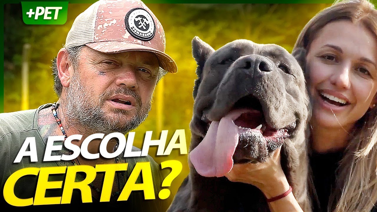 CANE CORSO &Eacute; A MELHOR ESCOLHA PARA C&Atilde;O DE GUARDA? | RICHARD RASMUSSEN