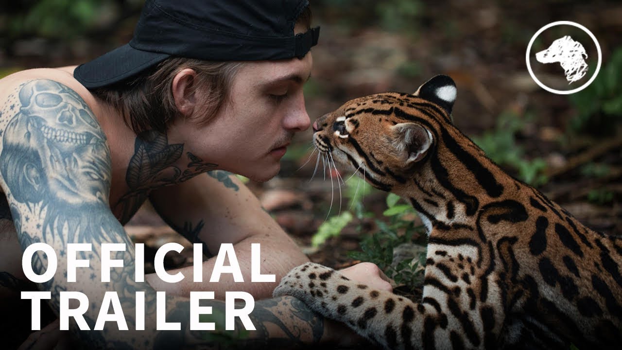 Wildcat, Official UK Trailer