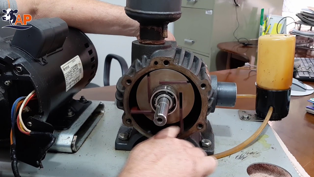 Como funciona bomba de vácuo de ordenhadeira