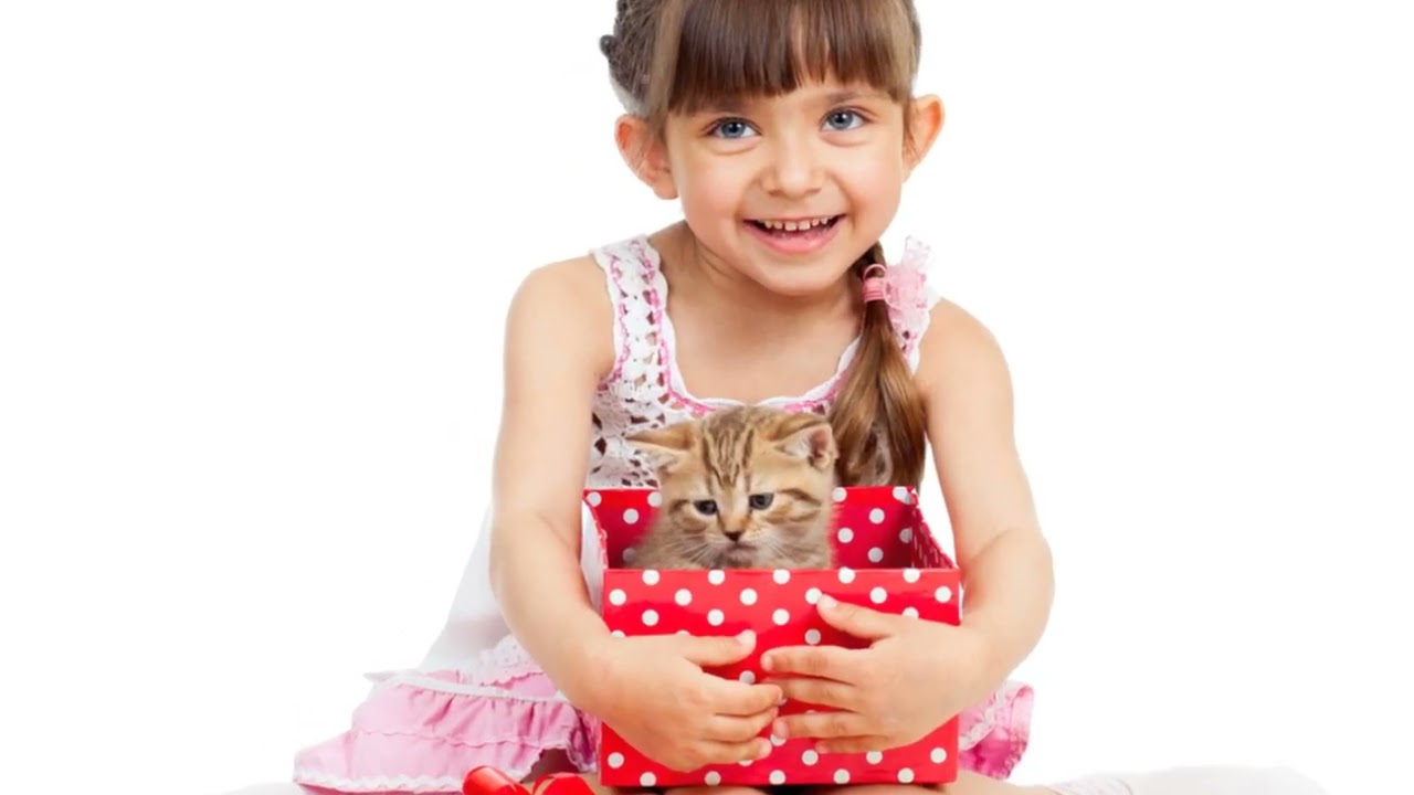 How Cats Show Affection: Feline Love Explained!
