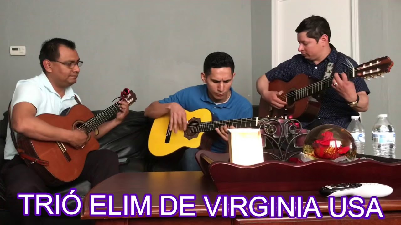 ESTOY AGRADECIDO SEÑOR  TRÍO ELIM DE VIRGINIA USA