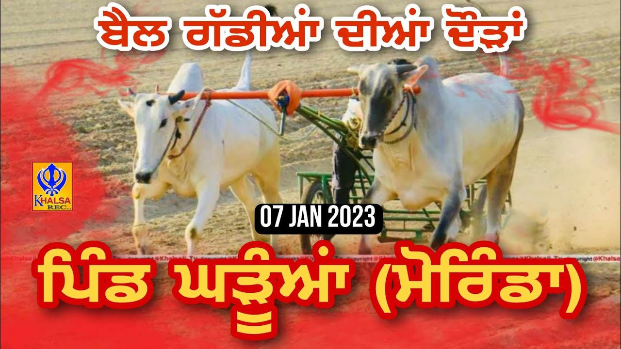 🔴[Live] Gharuan | Morinda | ਬੈਲ ਗੱਡੀਆਂ ਦੀਆਂ ਦੌੜਾਂ | Ox Races | 07 Jan 2024