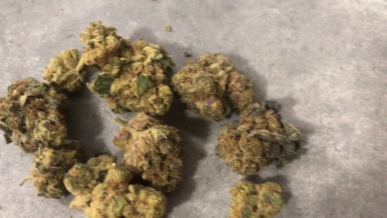 KING CALI KUSH SQDC REVIEW