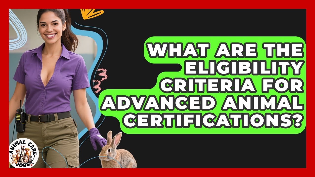 What Are The Eligibility Criteria For Advanced Animal Certifications? - Animal Care Jobs