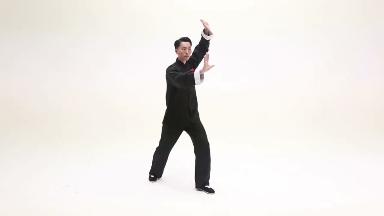 24式太极拳 讲解版 第十九式：海底针