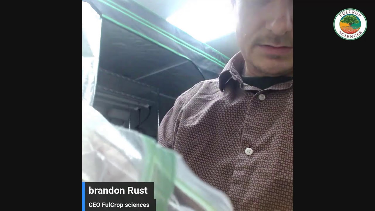 making iron fulvate (organic chelated iron) from fulvic acid and iron sulfate