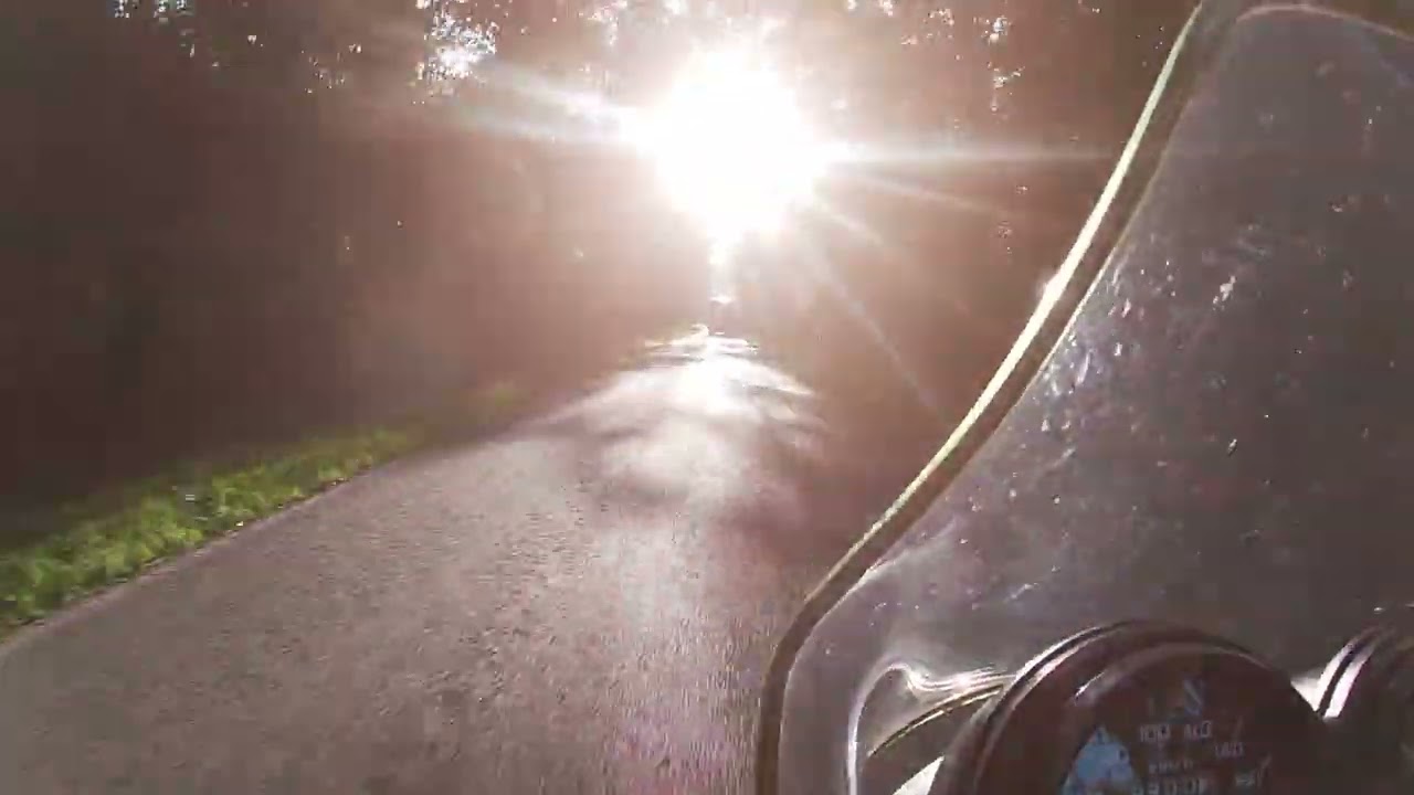 Fahrt in der Parklandschaft des Münsterlandes