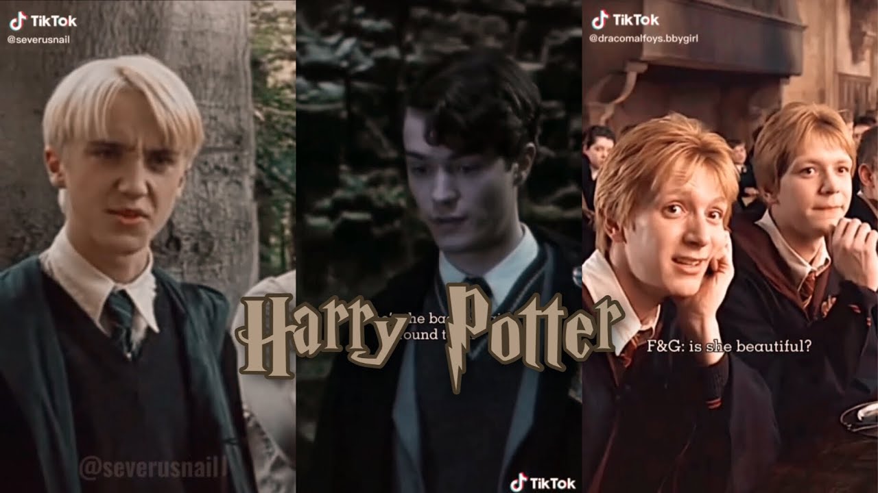 Harry Potter TikToks that made Harry not the chosen one✨