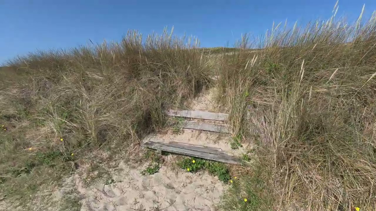 Den Helder, Helderse Dunes, Netherlands, June 21, 2025
