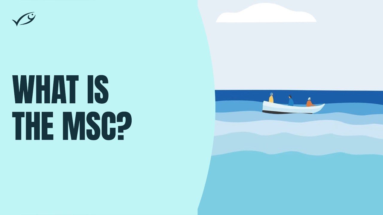 What is the MSC and why is certified sustainable seafood important?